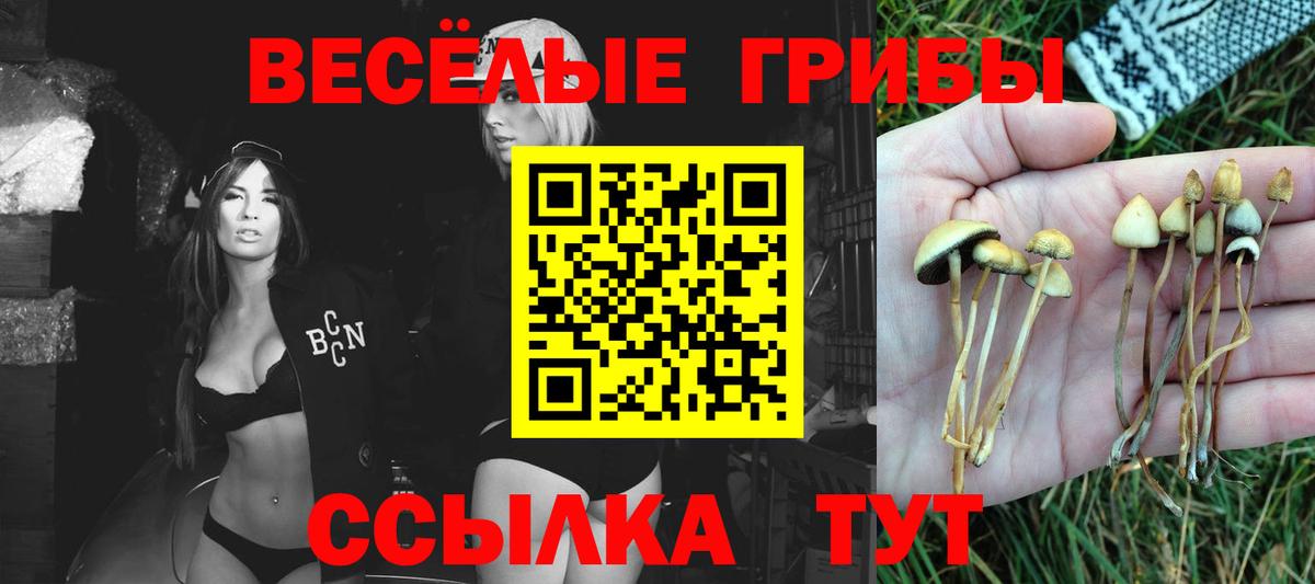 Галлюциногенные грибы GOLDEN TEACHER Кропоткин