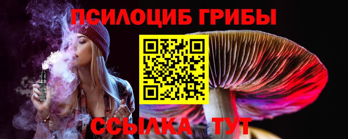 наркота  Псилоцибиновые грибы Psilocybine cubensis  Вход с VPN  Кропоткин 